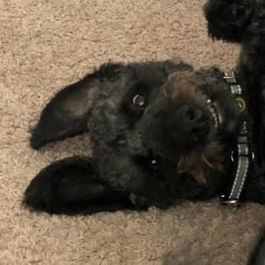 Meet your Posher, Gail